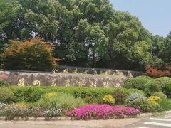 -树山生态村