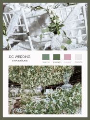 -DC大蔡婚礼策划(李公堤店)