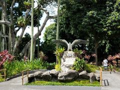 -新加坡飞禽公园
