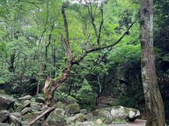 -浙北大峡谷