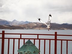 -班公湖
