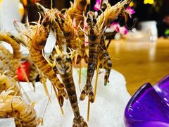 -尚海豆捞(乐虹坊店)