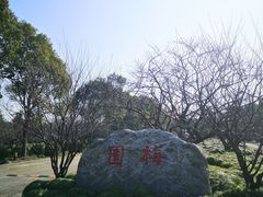 -上海海湾国家森林公园