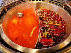 番茄鸳鸯锅-小龙坎老火锅(北京三里屯店)