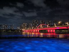 -五缘湾湿地公园