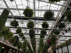 -常州花鸟园酒店(西太湖品牌优选店)