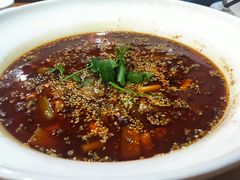 -功夫兔
