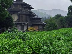 -杭州西湖风景名胜区-满觉陇四眼井
