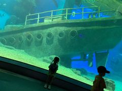 -福州罗源湾海洋世界旅游区