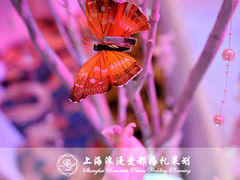 上海浪漫爱都婚礼策划-上海锦江金门大酒店