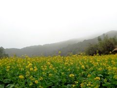 android_upload_pic-广州市石门国家森林公园