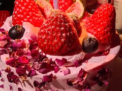 -维尔纳斯·生日蛋糕·动物奶油冰淇淋蛋糕(六里桥店)