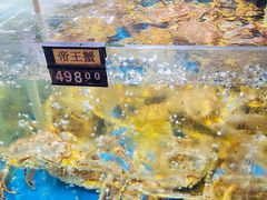 鲜活帝王蟹-蟹之国·精品蟹料理(极地店)