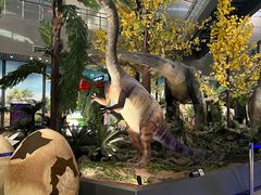 -湖南省地质博物馆