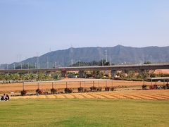 -光明小镇欢乐田园
