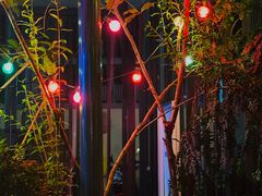-SISTERS BAR RESTAURANT川意酒馆(嘉善老市H楼店)
