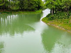 -贡湖湾湿地公园