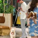 宁波夏日漂亮饭之约🍴(宠物友好)