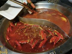 -大龙燚火锅(春熙店)