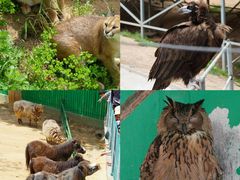 -西霞口神雕山野生动物世界