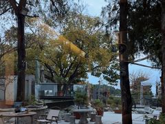 -蘇河湾·新鲁菜·泰山宴(泰山店)