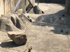 -无锡动物园·太湖欢乐园