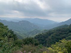 -大岭沟猕猴桃谷风景区