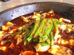 麻辣石锅鱼-都江堰石锅鱼