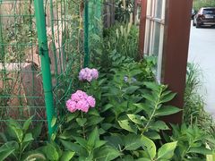 -意大利农场度假村