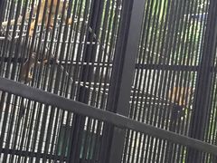 -广东茂名森林公园