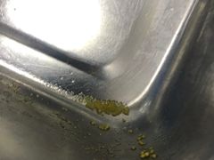 -派美特宠物医院·核磁CT·骨科肿瘤·疑难转诊(沈农禾丰店)
