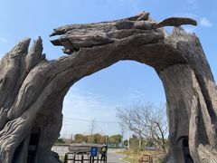 -广富林郊野公园