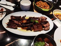 -MR鹅外