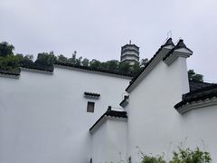 -深圳国际园林花卉博览园