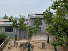 -西霞口神雕山野生动物世界