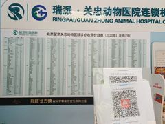 -瑞派·关忠动物医院·异宠专科·犬猫肿瘤·皮肤专科(望京店)