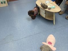 -博特宠物医院24h犬猫全科.骨科·异宠