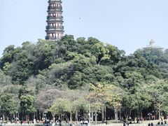 -顺峰山公园