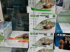 -申普宠物医院·心脏介入·心血管微创(总院)