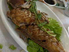 -莲花公园煎蟹(总店)