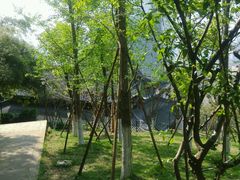 远眺关岳庙-佛图关公园