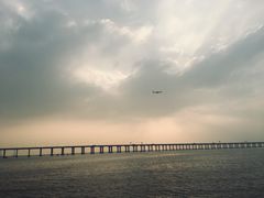 -宝安西湾红树林湿地公园