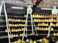 -都念榴莲·城市榴莲