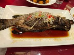 -集贤阁海鲜酒楼(北辰总店)