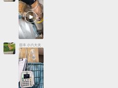 -中农大我爱我爱24h动物医院·中医针灸·猫专科·骨科医疗中心(双井店)