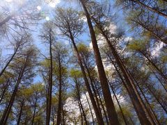 -硗碛藏寨·神木垒景区