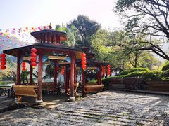 -天台国家森林公园水上茶乡九鹏溪