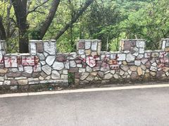 -木兰云雾山