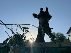 -水上乐园·欢乐世界