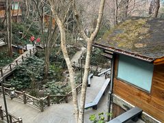 -宁海森林温泉